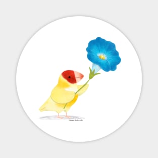 Finch Bird with Morning Glory Flower Magnet